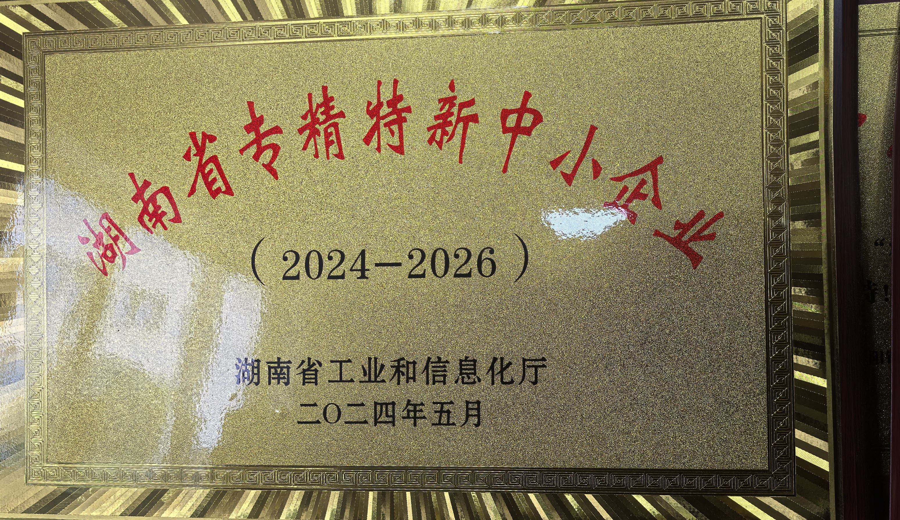 湖南省專精特新中小企業